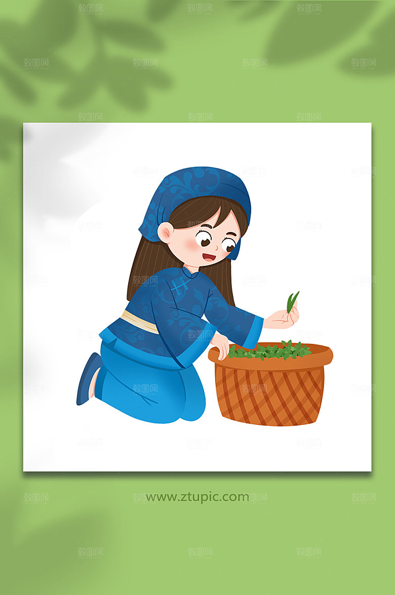 卡通跪整理采茶茶叶插画设计