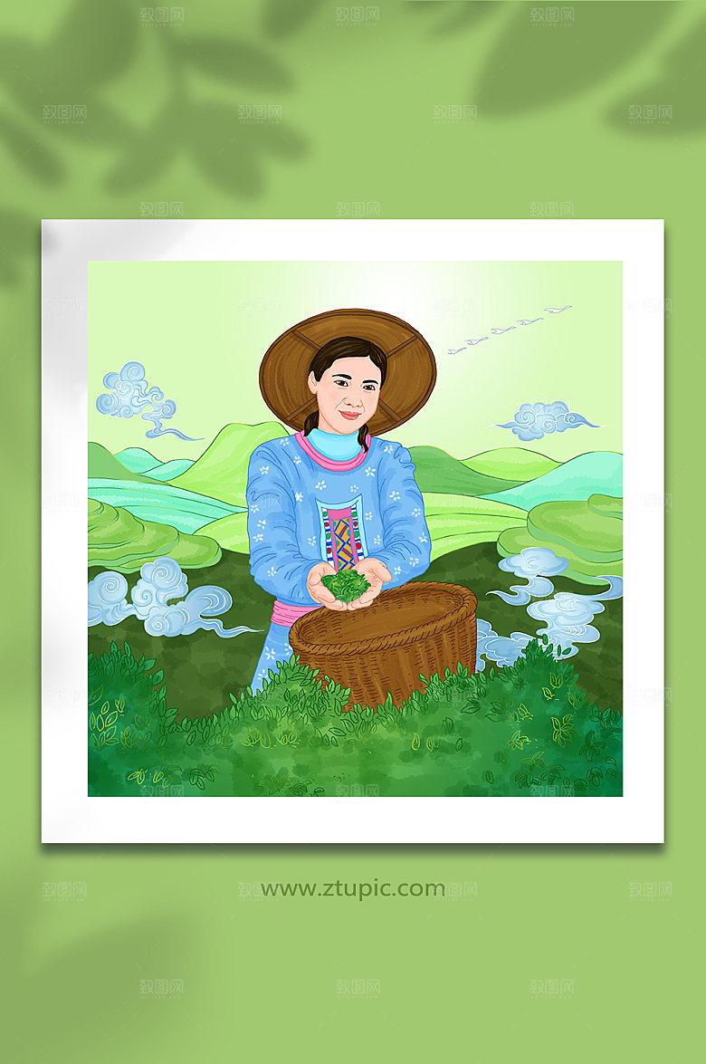 卡通姑娘茶园采茶人物插画设计