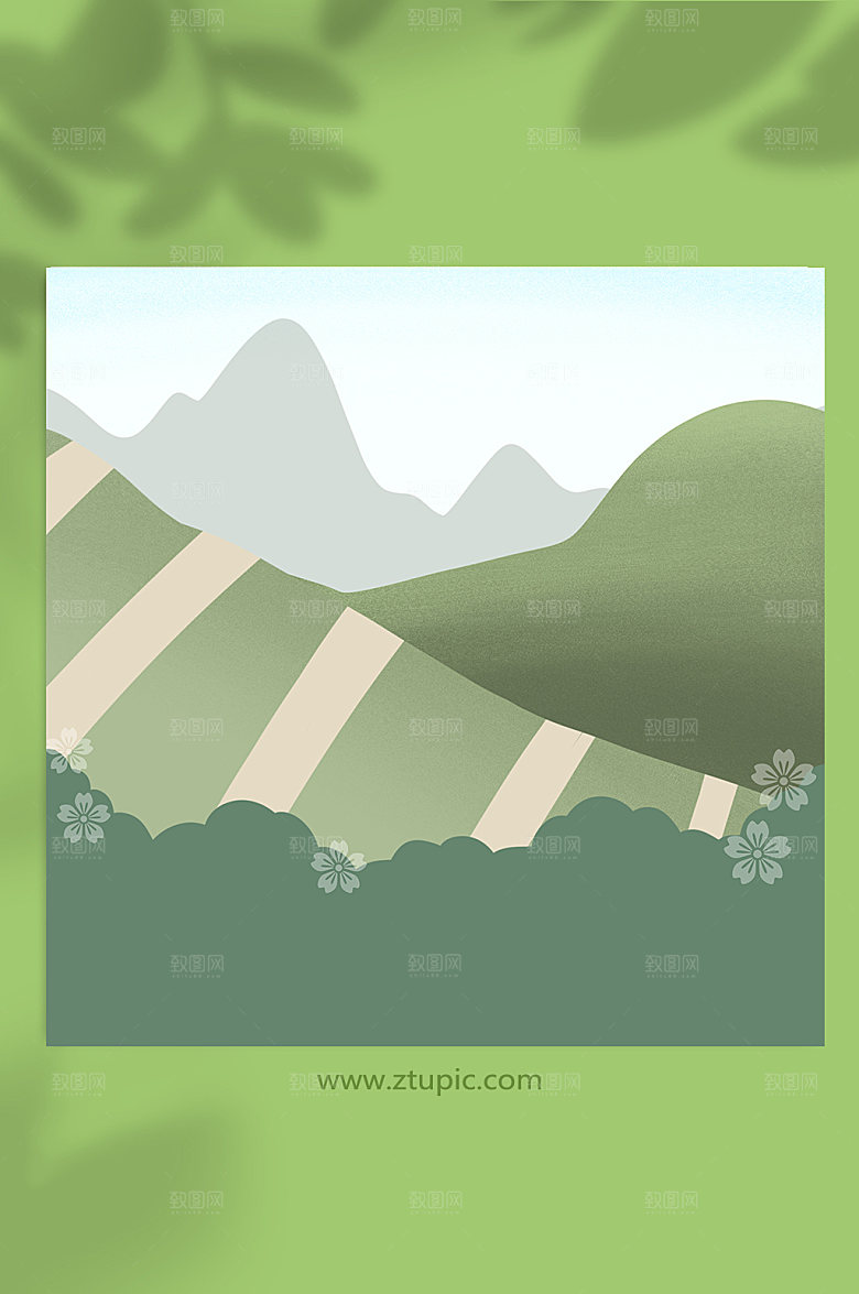 绿色茶园采茶绿色植物插画背景