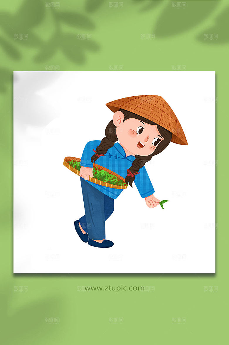 扁平采茶茶叶人物插画素材