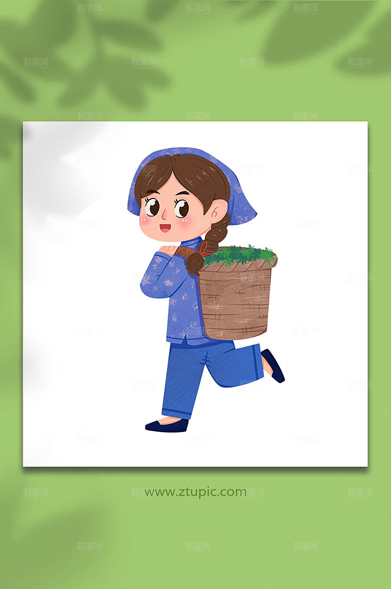 扁平采茶茶叶人物插画设计