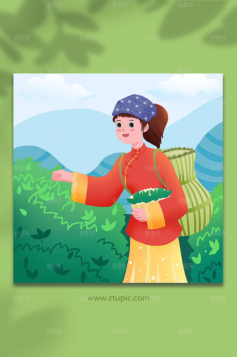 卡通采茶叶姑娘茶叶人物插画设计