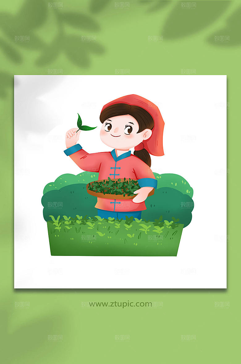 卡通茶园采茶茶叶人物插画素材