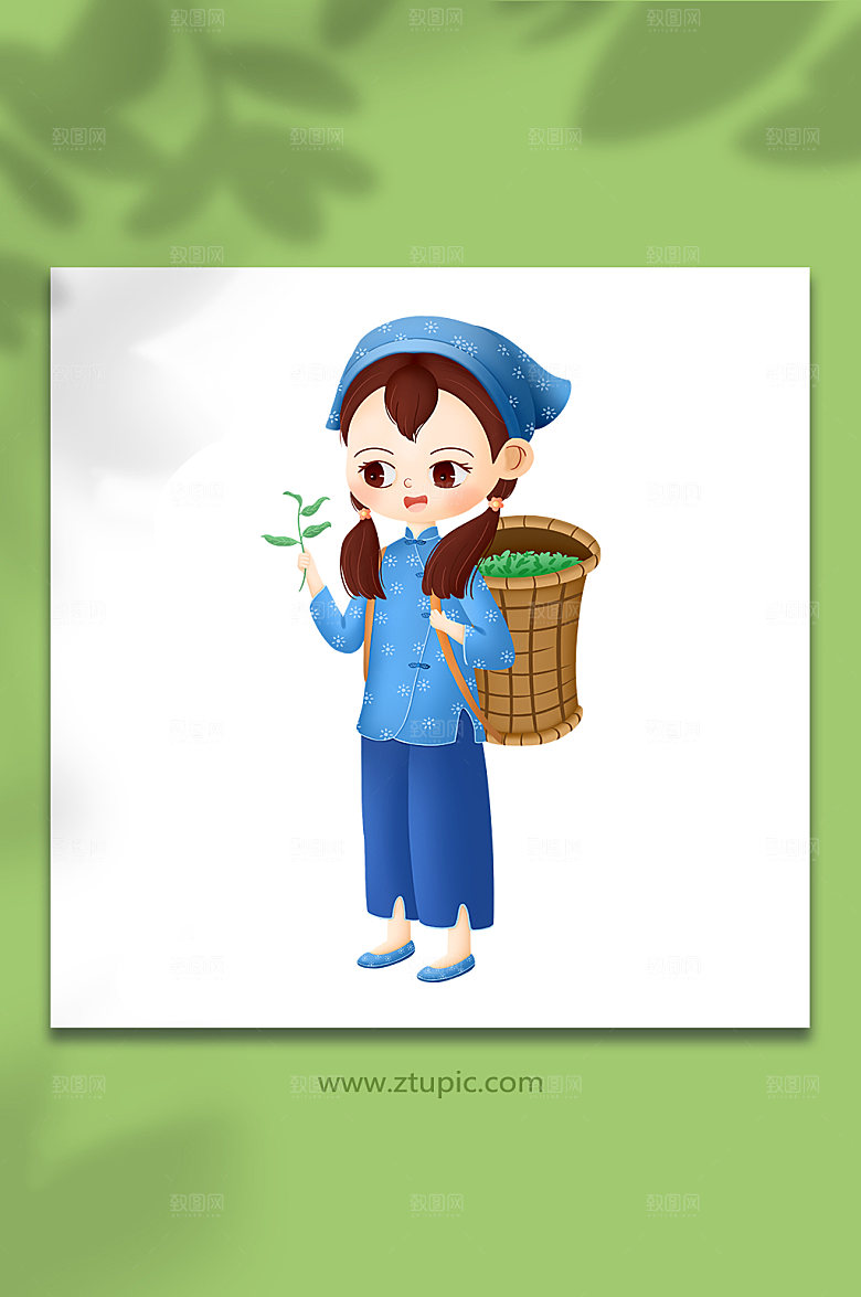 扁平采茶茶叶女孩人物插画设计