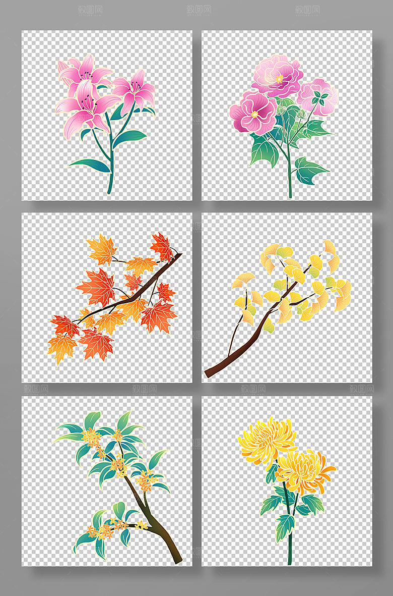 中式秋天植物花卉插画素材