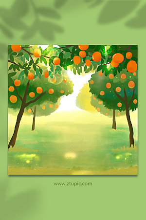 绿色橘子林丰收秋天插画
