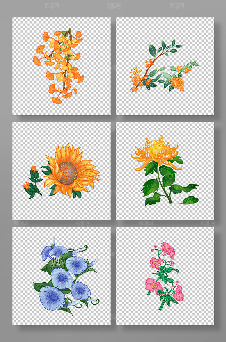 卡通菊花桂花葵花秋花卉插画素材