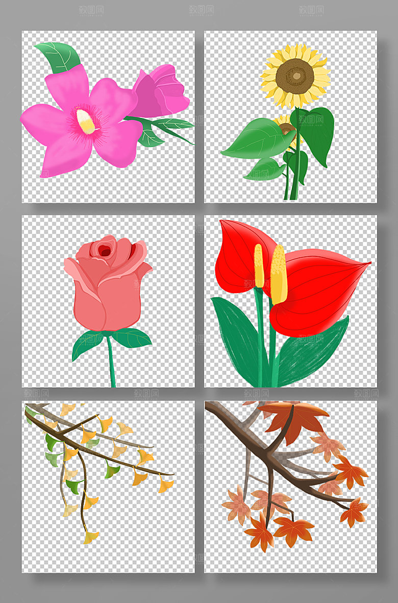 写实玫瑰银杏枫叶秋花卉插画素材