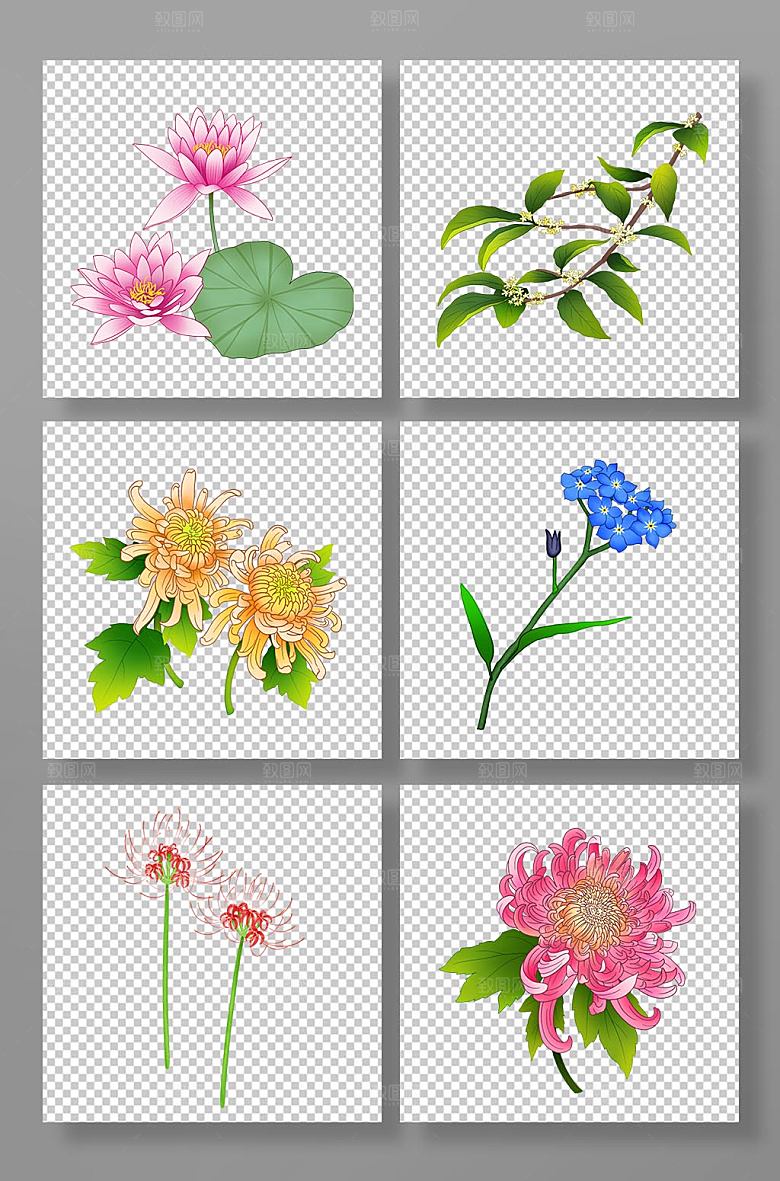 原创秋季花卉组合元素插画