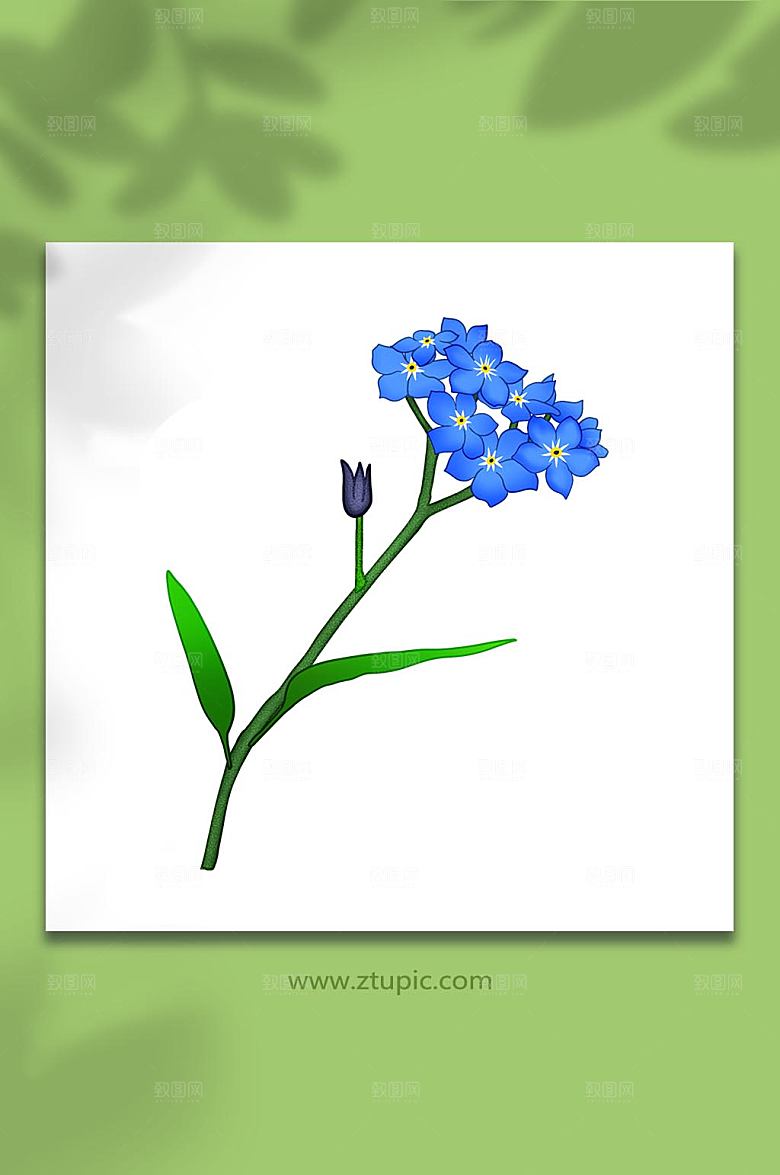 扁平秋季花卉勿忘我元素插画设计