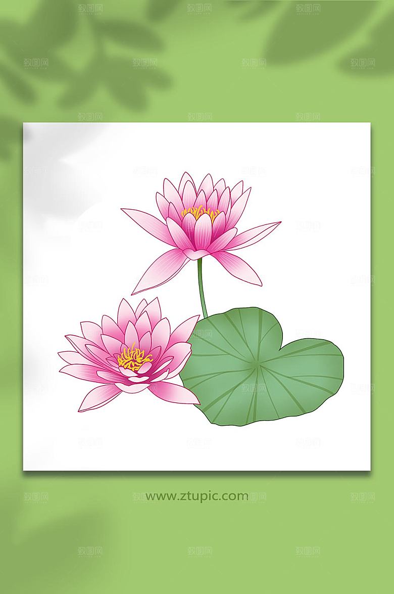 卡通秋季花卉睡莲元素插画素材