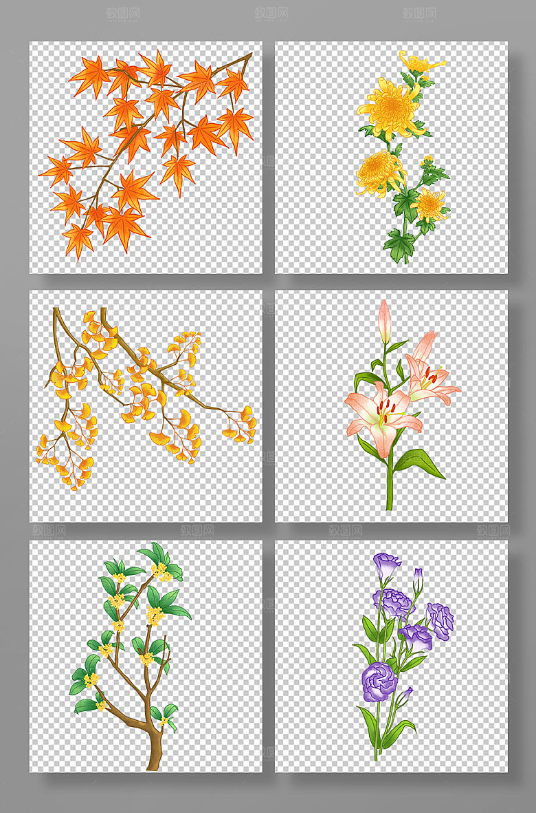 卡通秋天秋季植物花卉插画设计
