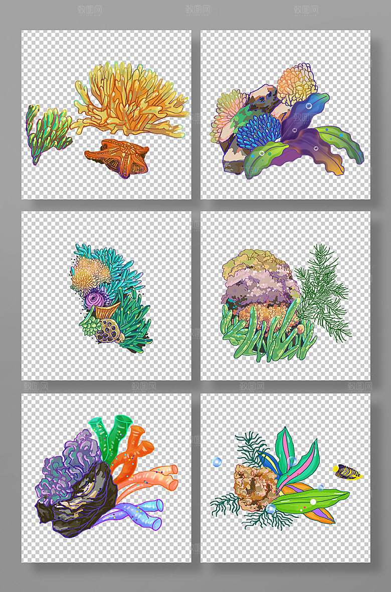 卡通珊瑚海草水生植物插画设计