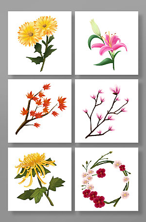 扁平秋季植物花卉插画素材