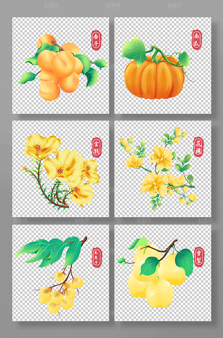 卡通杏子南瓜植物花卉插画素材