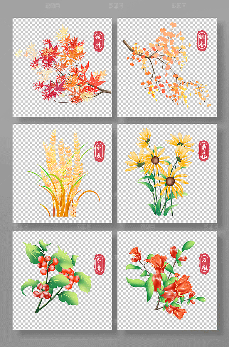 扁平枫叶银杏秋季植物插画素材