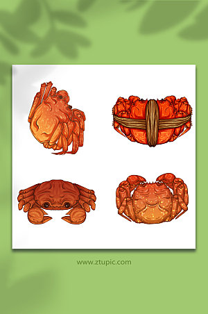 秋季螃蟹美食插画元素