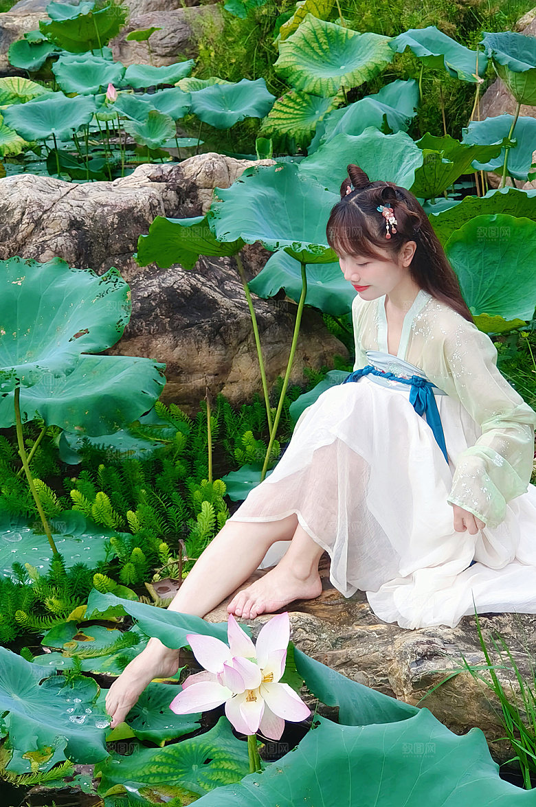 唯美荷花荷叶汉服人物摄影图