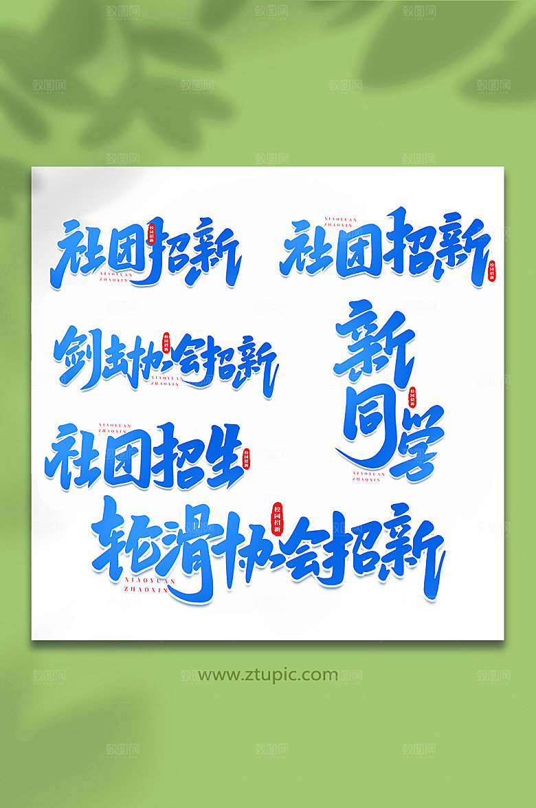 精美校园招新手写艺术字体设计