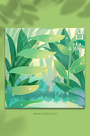 小清新白露节气绿叶植物背景插画