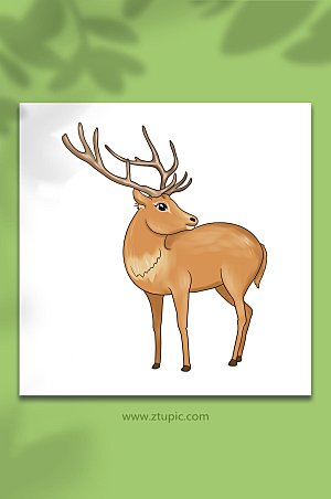 麋鹿元素国家保护动物手绘卡通插画