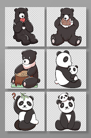 手绘国家保护动物大熊猫黑熊卡通插画