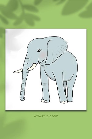 原创手绘国家保护动物大象创意插画