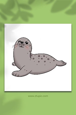 创意海豹国家保护动物卡通手绘插画