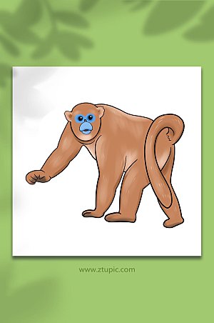 金丝猴元素手绘国家保护动物插画