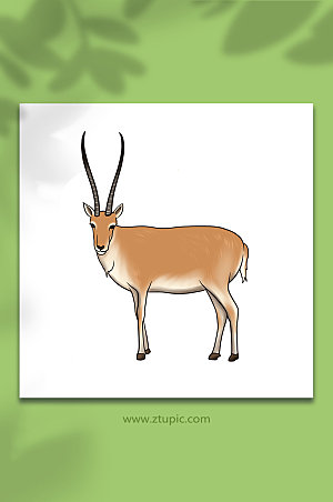 简约国家保护动物羚羊原创插画素材