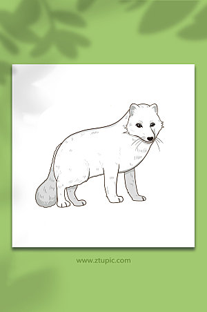 可爱卡通国家保护动物北极狐原创插画素材
