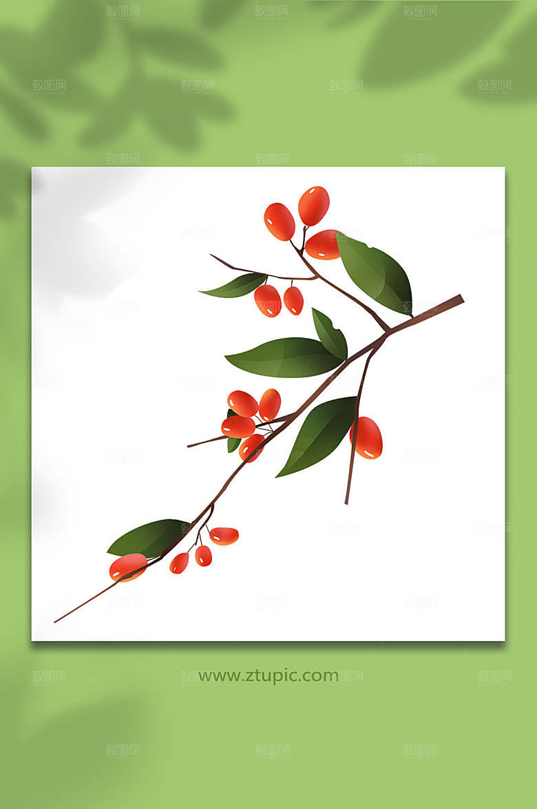 扁平化茱萸登高重阳节物品元素插画