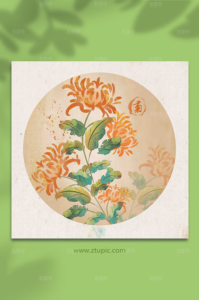 手绘梅兰竹菊水墨菊花古风菊花花卉插画