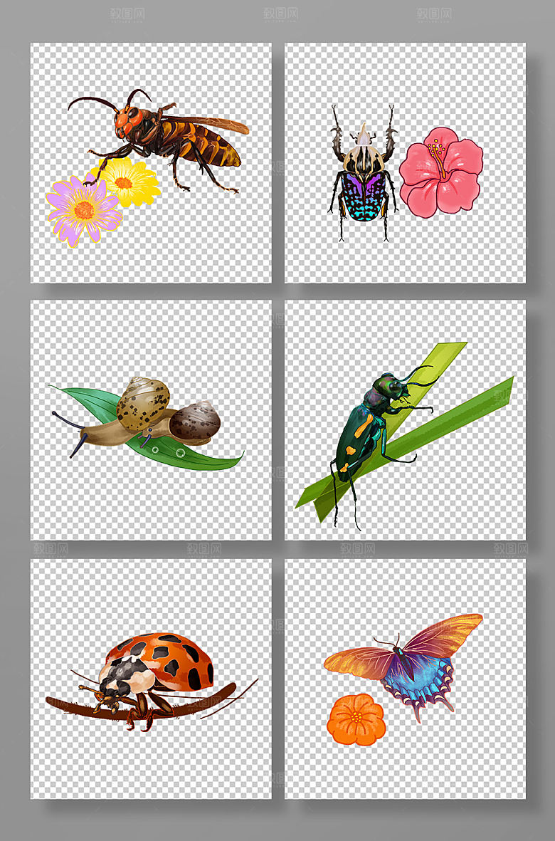 手绘蜜蜂蜗牛瓢虫蝴蝶天牛昆虫元素插画素材