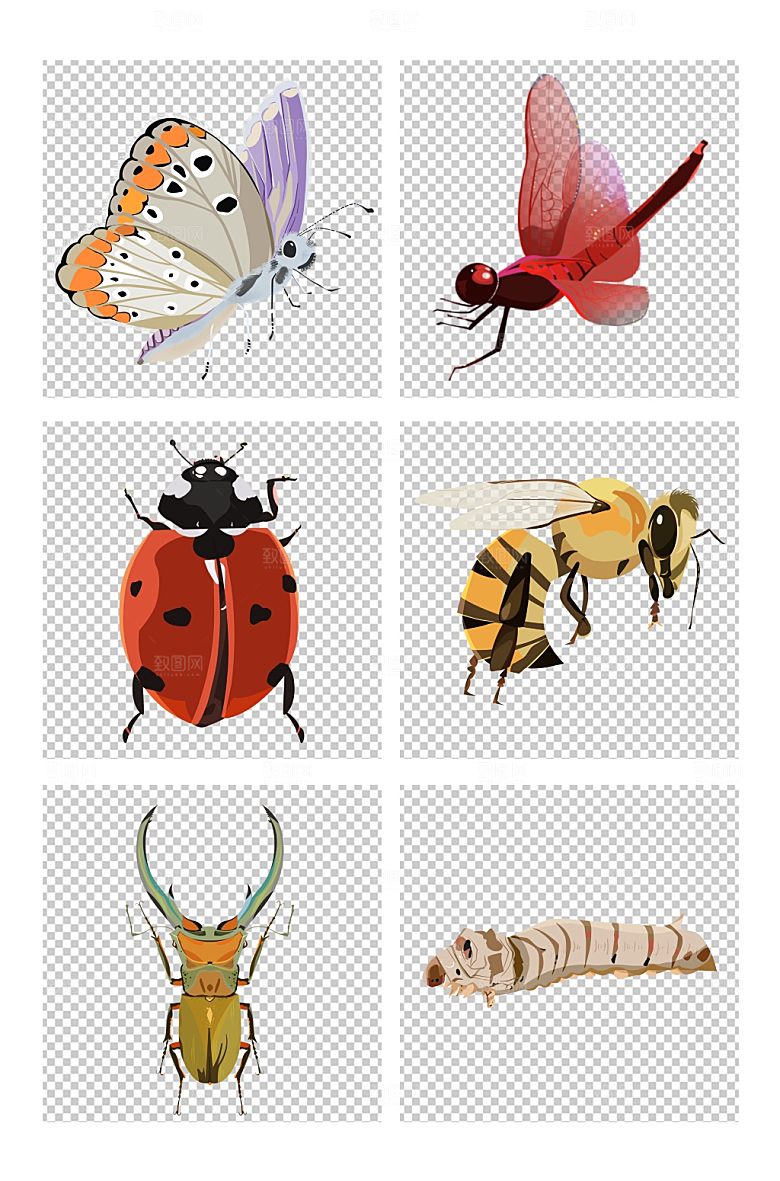 手绘蝴蝶蜻蜓瓢虫蜜蜂蚕甲虫昆虫元素插画