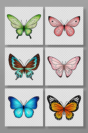 彩色动物昆虫蝴蝶组合插画元素素材