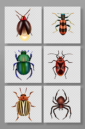 蟑螂瓢虫写实风昆虫元素组合插画素材