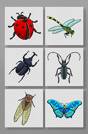 极简写实可爱生动昆虫元素创意插画