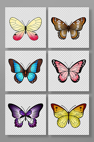 手绘写实动物昆虫蝴蝶时尚元素