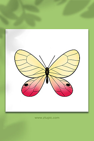 唯美手绘动物昆虫蝴蝶手绘插画