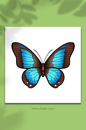 手绘唯美动物昆虫创意蝴蝶插画