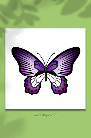 唯美动物昆虫紫色蝴现代蝶插画