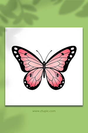 创意手绘动物昆虫现代蝴蝶插画
