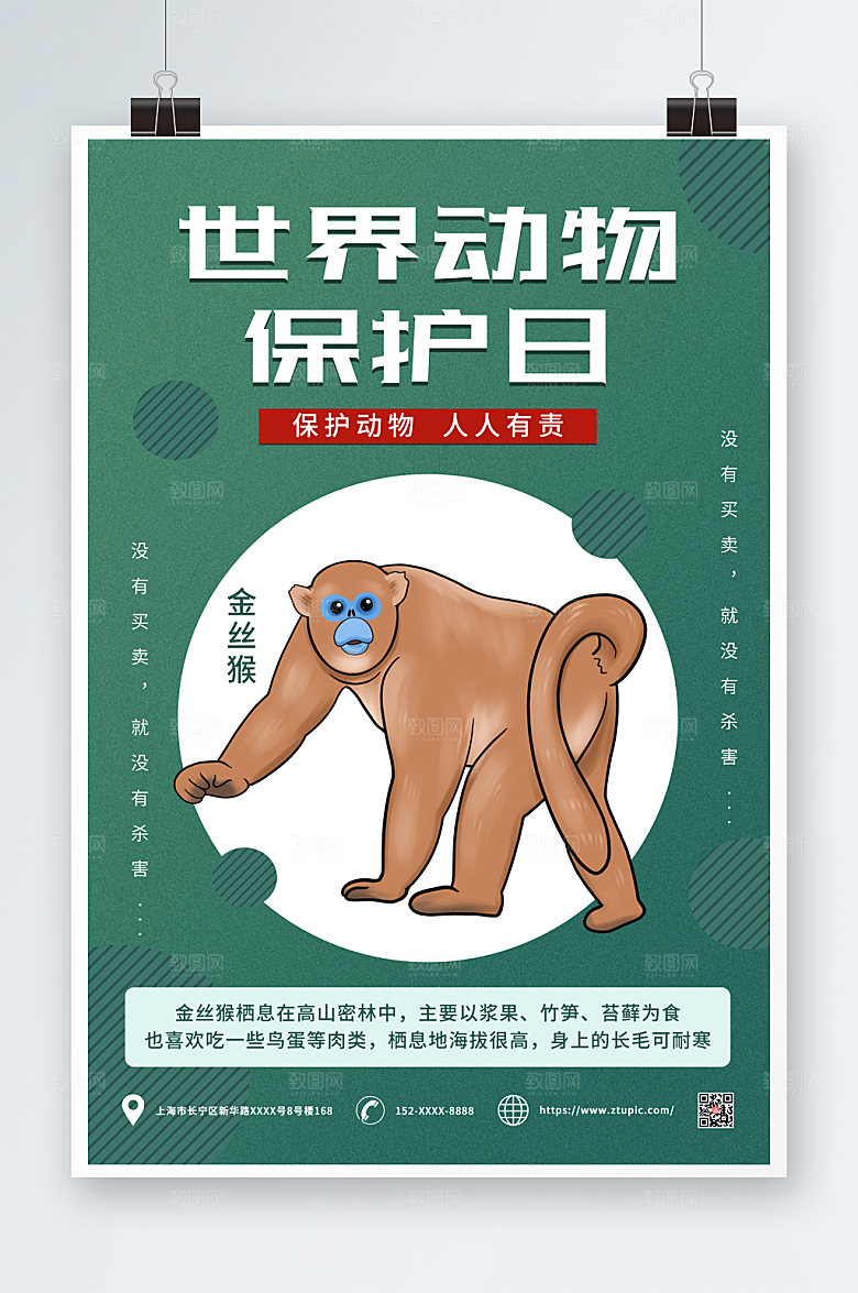 高端渐变世界动物日海报设计