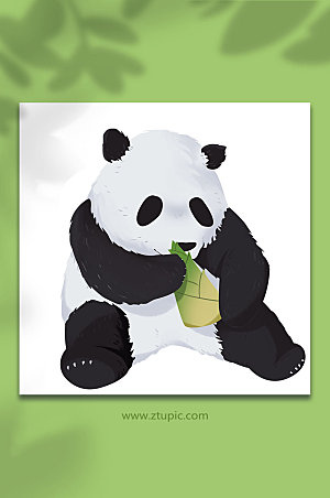 创意大熊猫国家保护动物高端插画