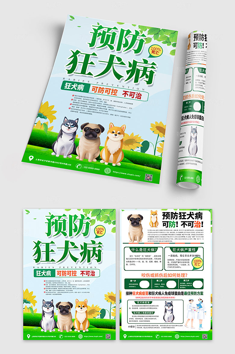 简约狂犬病预防知识创意宣传单DM