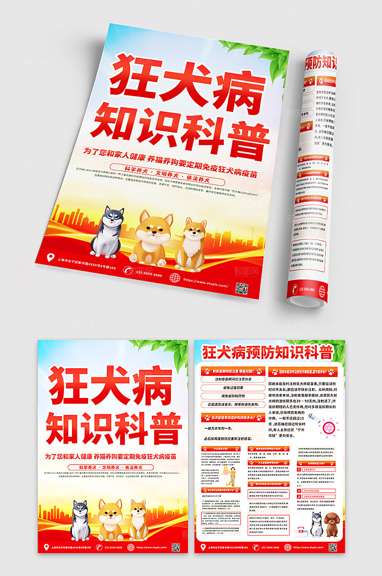 极简狂犬病预防知识现代宣传单DM