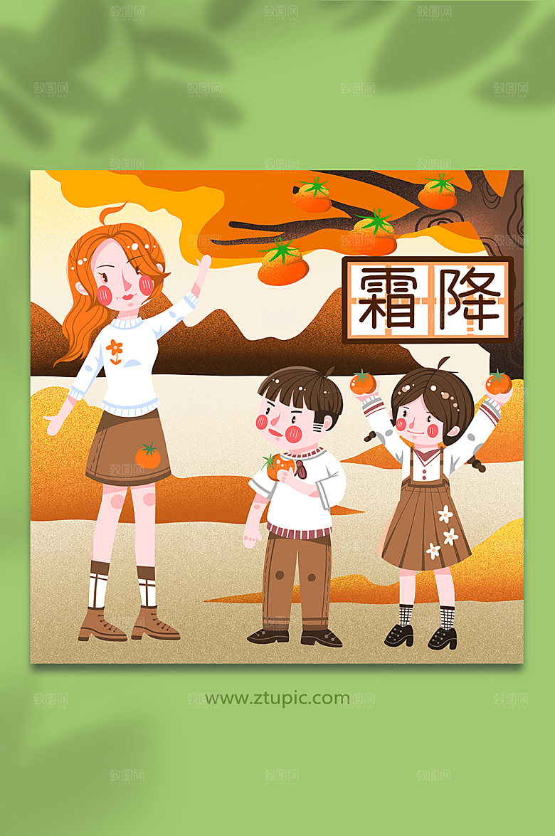 秋天节气柿子熟了霜降节气原创插画