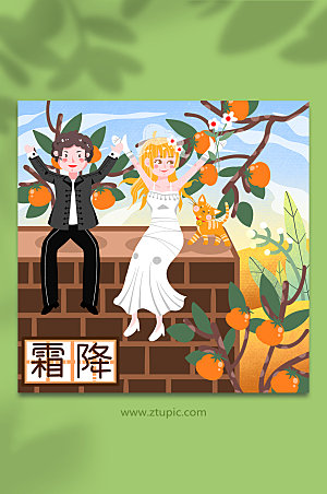 结婚柿子二十四霜降节气精美插画