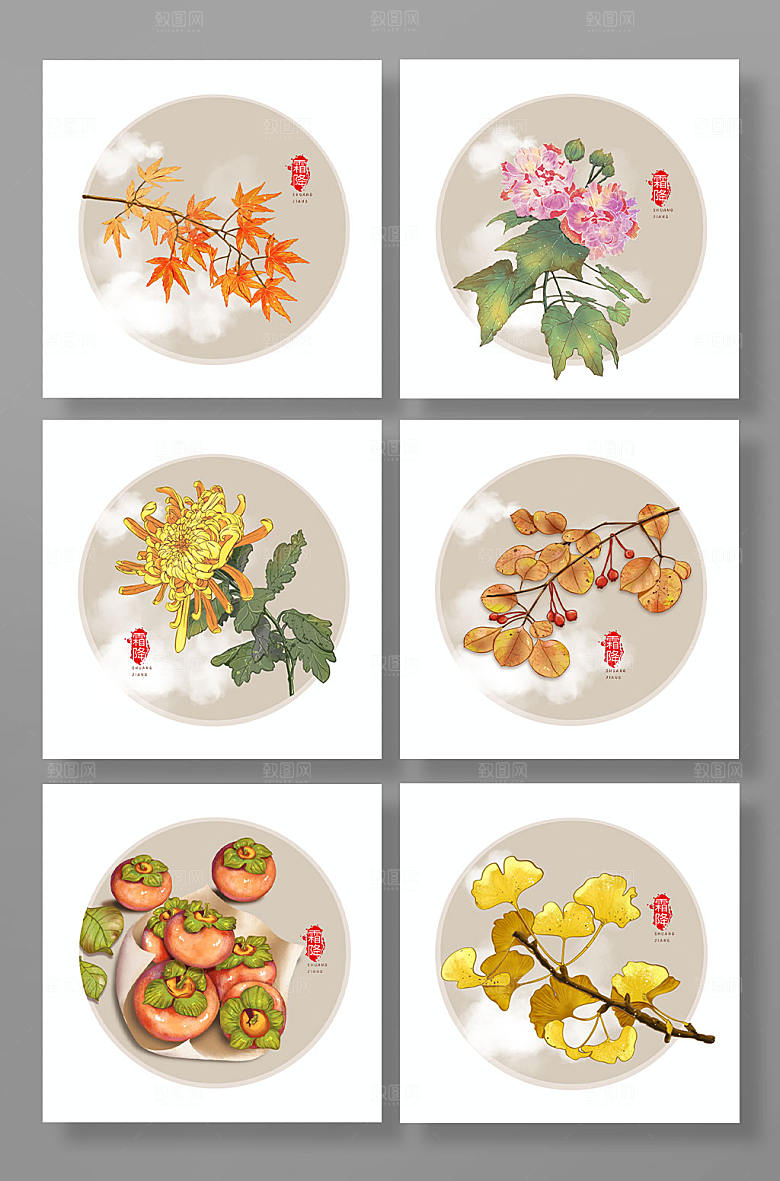 橙色霜降植物枫叶银杏叶原创插画